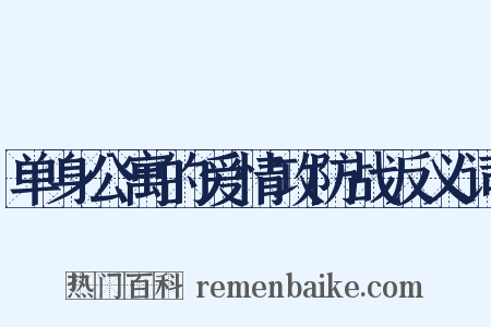 单身公寓的爱情攻防战反义词是什么意思的图片